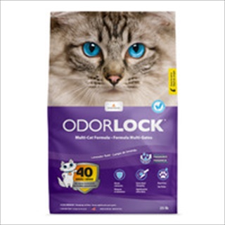 INT ODORLOCK CLUMP LAVENDER 25#