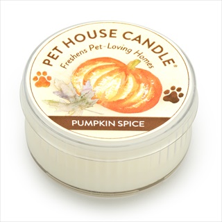 PH MINI CANDLE PUMPKIN SPICE