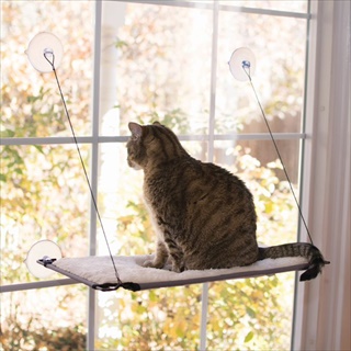 CS CAT WINDOW LOUNGER NAT 12X23