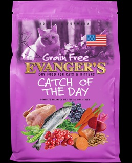 EV CAT CATCH OF THE DAY SAMPLE