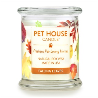 PH CANDLE FALLING LEAVES