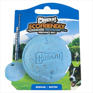 CHUCKIT REBOUNCE BALL MD 1PK