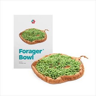 PP FORAGER BOWL MEADOW NAT 9"