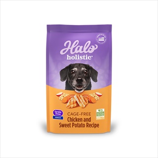 HALO HOL DOG GF SR CH/SW PO 10#