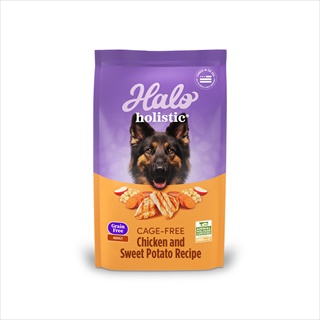 HALO HOL DOG GF CHKN/SW PO 10#