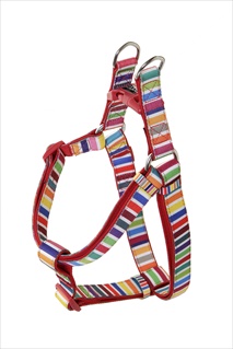 DOOG NEO STEP HARNESS SCOOBY SM