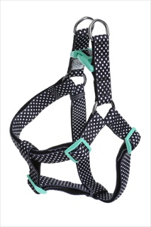 DOOG NEO STEP HARNESS PONGO LG