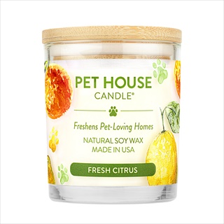 PH CANDLE FRESH CITRUS