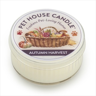 PH MINI CANDLE AUTUMN HARVEST