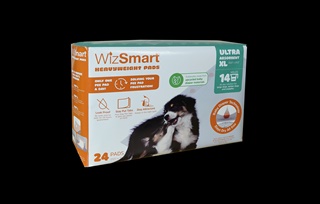 WIZ ESSENTIAL PAD LG 10CT