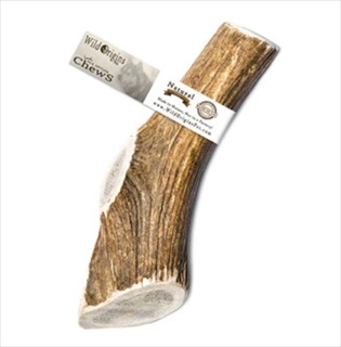 WO ELK ANTLER WHOLE GIANT 8-10"