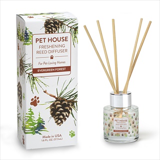 PH DIFFUSER EVERGREEN FOREST