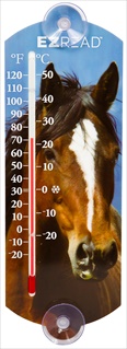 HW 10" THERMOMETER - HORSE