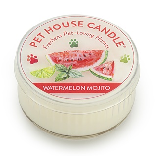 PH MINI CANDLE WATERMELON MOJITO