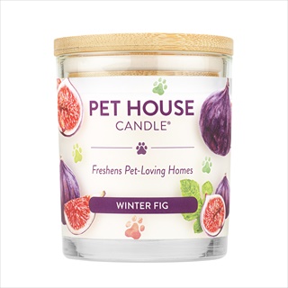 PH CANDLE WINTER FIG