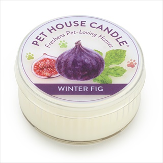 PH MINI CANDLE WINTER FIG