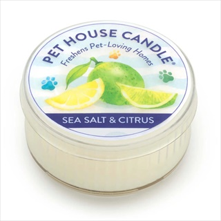 PH MINI CANDLE SEA SALT