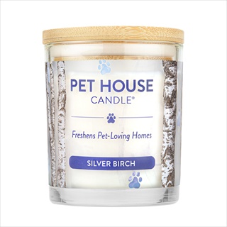 PH CANDLE SILVER BIRCH