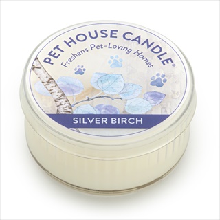 PH MINI CANDLE SILVER BIRCH