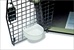 PETM KENNEL WATERER CUP *