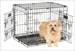 PETM ELITE 24" WIRE KENNEL BLK