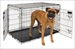 PETM 2 DOOR TRAIN 38" KENNEL