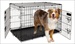 PETM 2 DOOR TRAIN 34" KENNEL