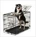 PETM 2 DOOR TRAIN 19" KENNEL