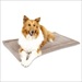 PETM KENNEL MAT TAN 36.5X23.5