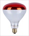 CTL HEAT LAMP 250W RED