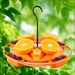 NY HANGING TRAY ORIOLE FEEDER