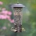 PP SEED FEEDER 4# SQUIRL BE GONE