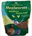 WILDLIFE SCI MEALWORMS 21Z