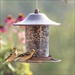 PP SEED FEEDER 2# PANORAMA