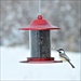 PP SEED FEEDER 2# PANORAMA RED