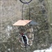 SE COPPER ROOF SUET BALL FEEDER