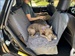 DGS DIRTY DOG CARSEAT COVER GREY