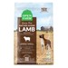 OF DOG GF LAMB 11#