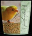 AVIAN SCIENCE LOVEBIRD/CONRE 4#