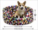 DURKHA FELT DOG BED SG BALLS 20"