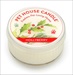 PH MINI CANDLE HOLLYBERRY