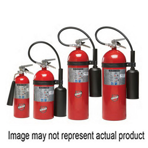 BUCKEYE 46100 Portable Wheeled Fire Extinguisher, 15 lb Capacity, Carbon Dioxide, BC Class, Wall Mou