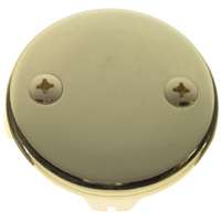 Danco 80879 Overflow Plate, Metal, Polished Brass, Specifications: 2-Hole