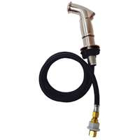 Danco 89216 Decorative Side Spray, Brushed Nickel