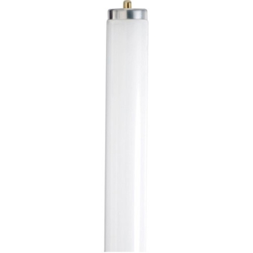 LAMP FL F60T12/CW