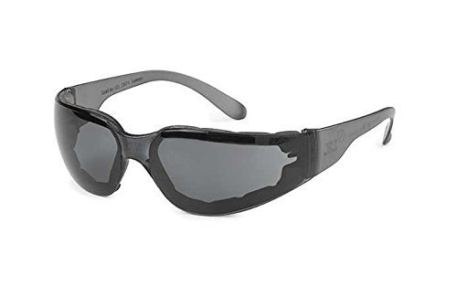 Gateway Safety StarLite FOAMPRO Series 46FP78 Safety Glasses, Anti-Fog Lens, UV Protection: 99.9 %