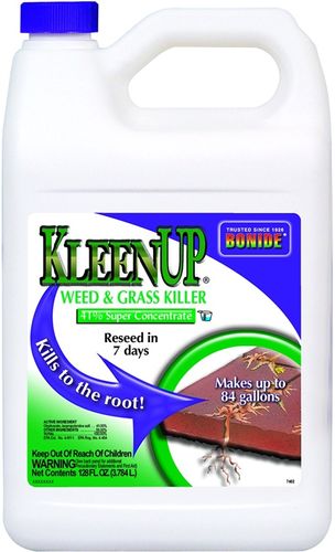 7462 KLEENUP 41% CONC GL
