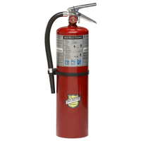 BUCKEYE 11340 Fire Extinguisher, 10 lb Capacity, Monoammonium Phosphate, ABC Class, Wall Mounting