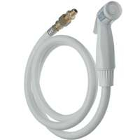 Danco 16560 Kitchen Sink Spray Hose and Head, 1/4 in Connection, FIP, 4 ft L, Plastic