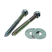 Danco 80157 Closet Screw, Steel